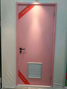 醫(yī)用鋼質(zhì)平開(kāi)門(mén)廠 潮州醫(yī)用鋼質(zhì)平開(kāi)門(mén) 百事特門(mén)業(yè)